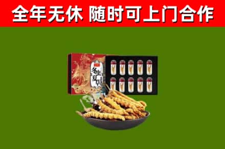 桓台烟酒回收冬虫夏草礼盒.jpg